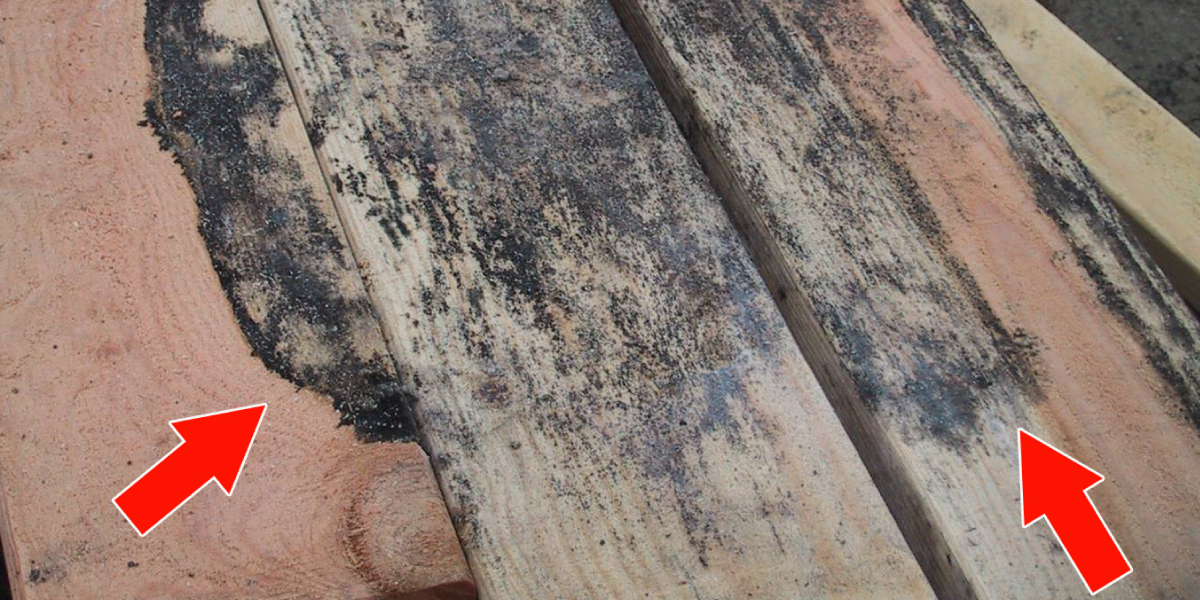 Signs of Water Damaged Wood Signs of Water-Damaged Wood